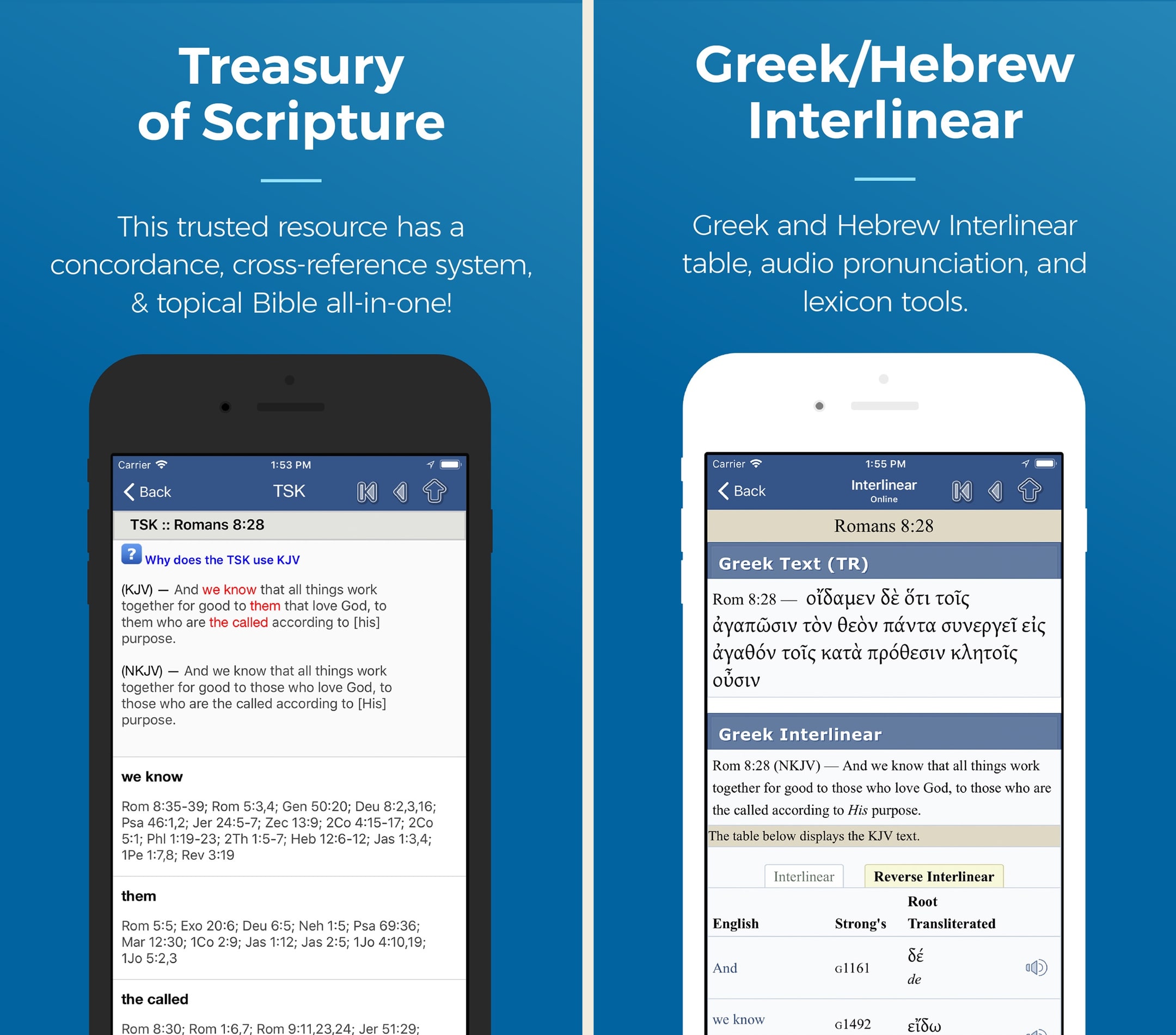 Blue Letter Bible product screenshot